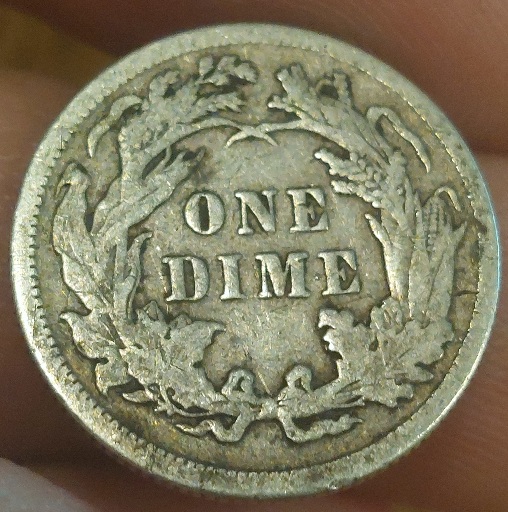Dime-1891-Grading-Help