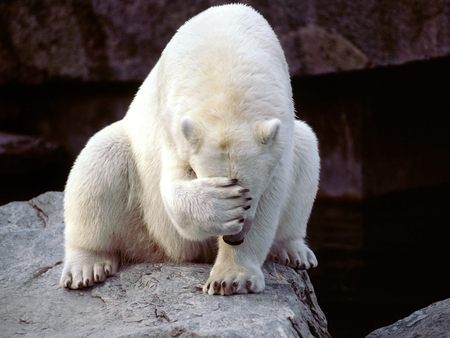Wha?-...-Ummmm?-....-Yah,-I've-Fallen-On-Hard-Times-*sigh*