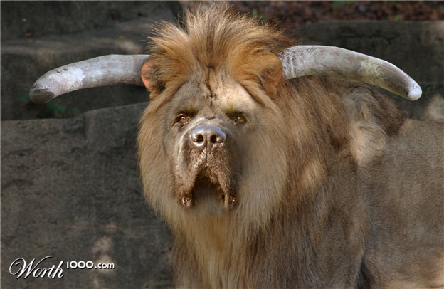 Bull-Or-Lion