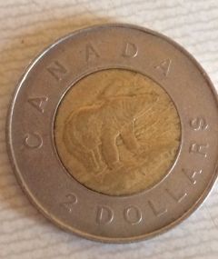 Toonie-Horn