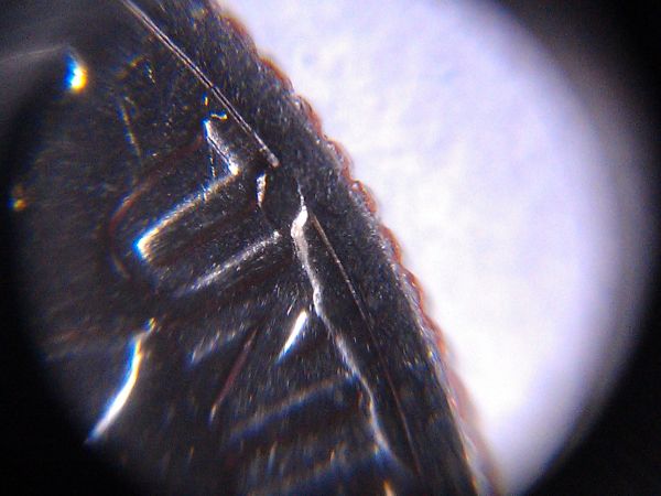 1999-P-Dime-Error?