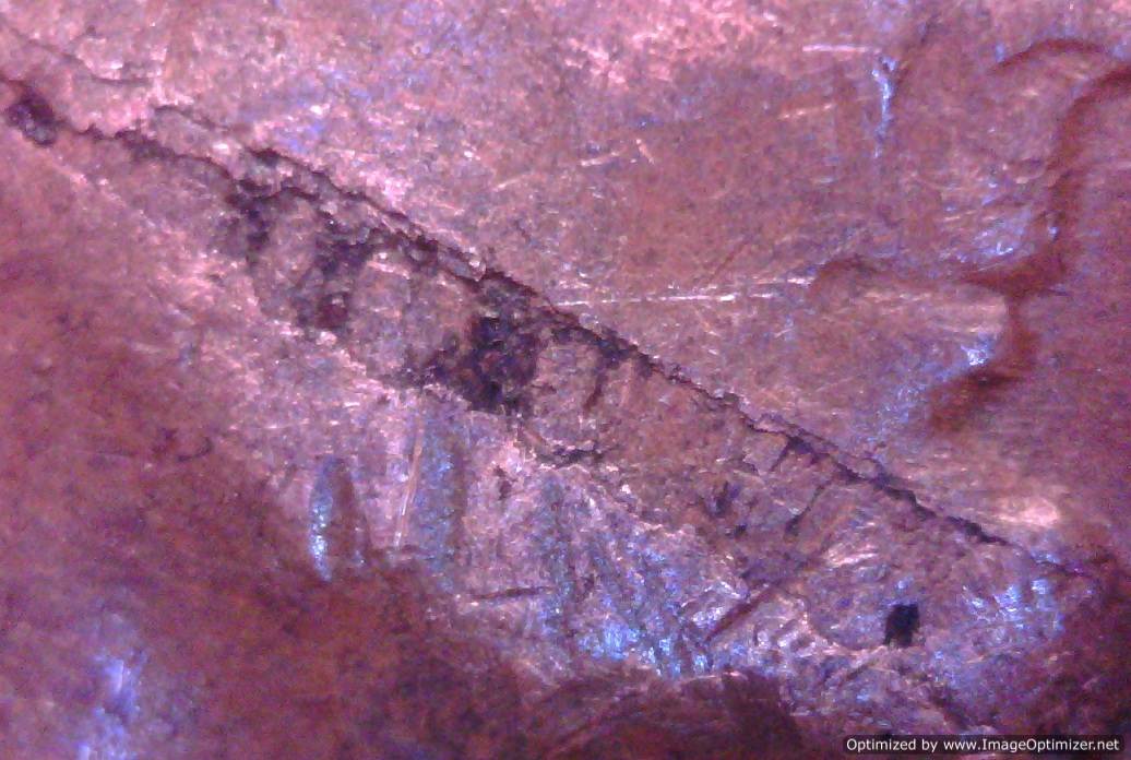 Delam-W/-Split-Planchet?