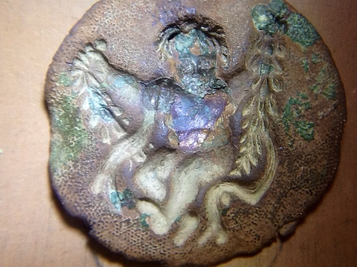 Found-On-Hike-Cannot-Identify