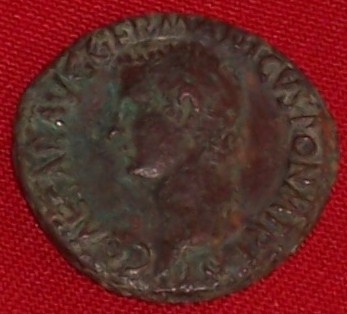 I-Finally-Got-My-Caligula