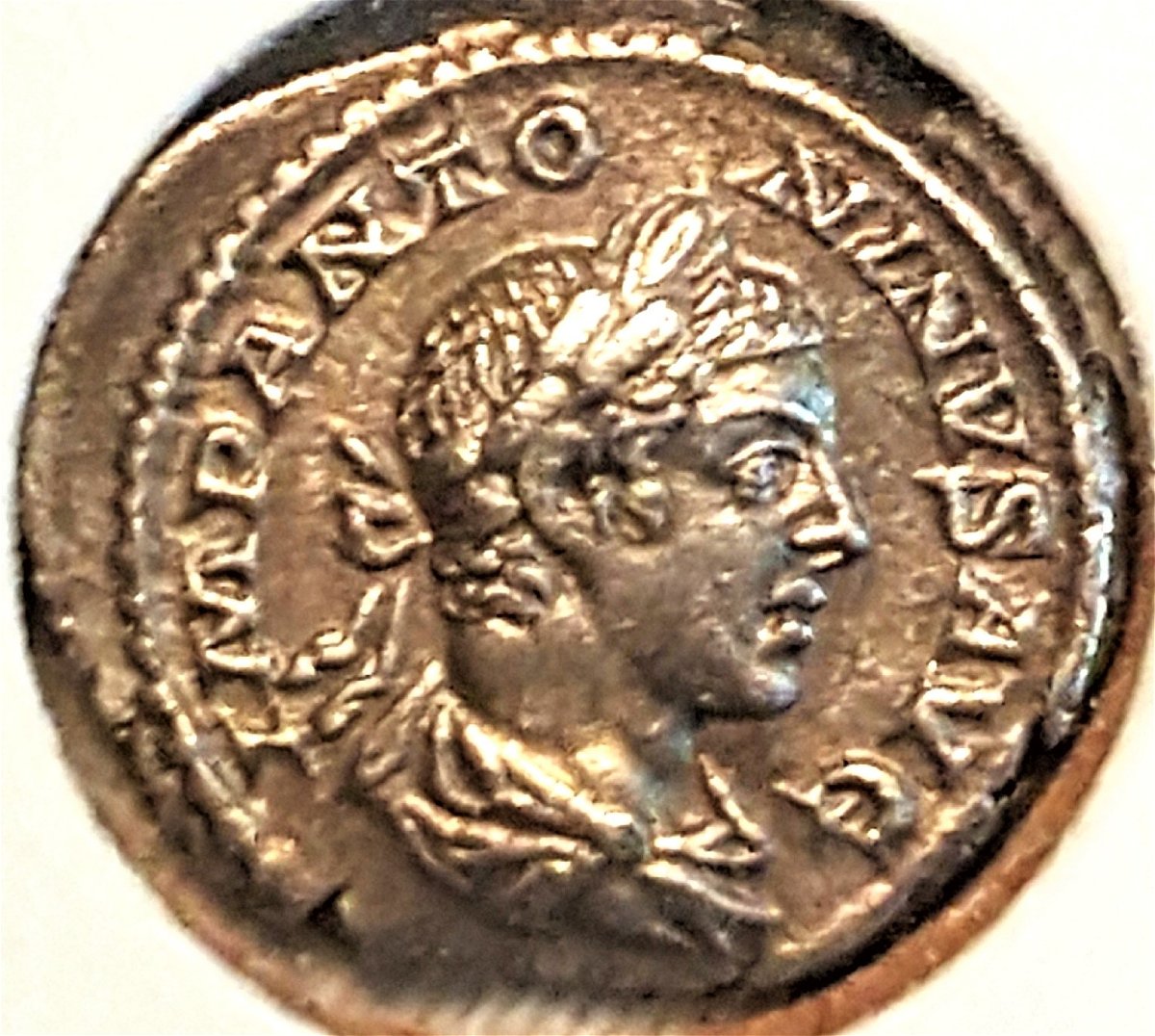 Newest-Ancient-Aquisitions:-Hadrian-And-Elagabalus!