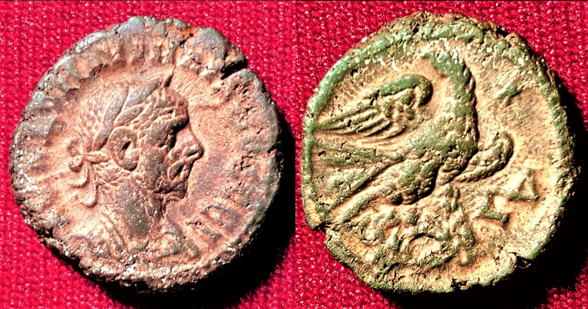 My-First-Animal-On-A-Coin.