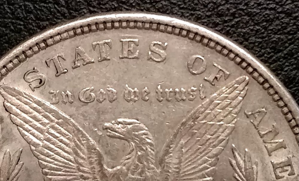 Looking-For-Help-With-An-1878-8TF-Morgan