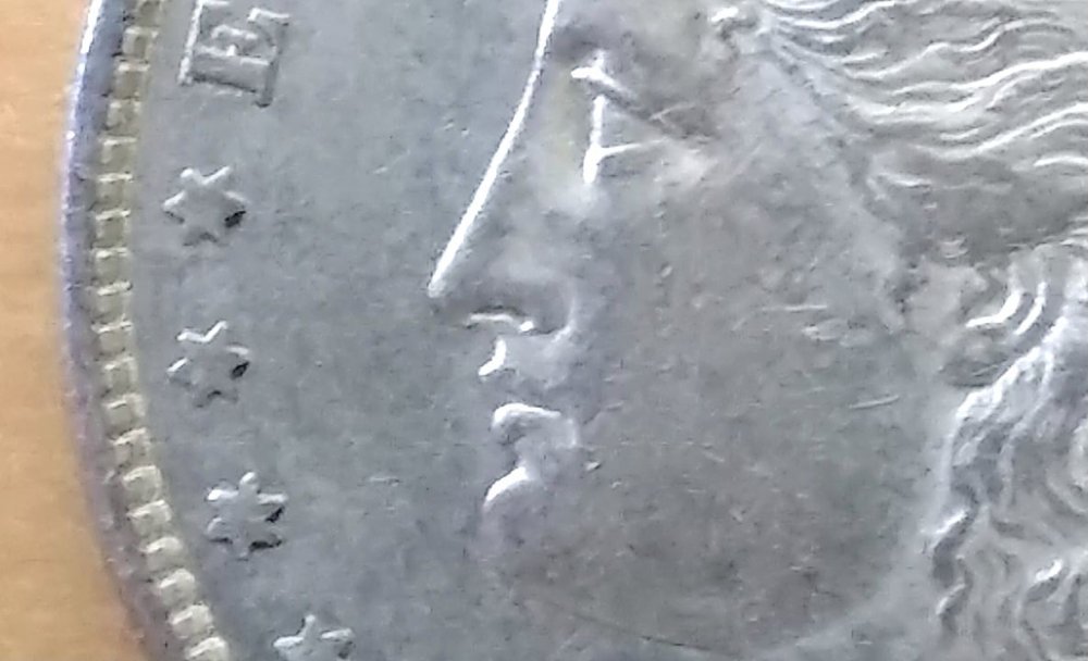 Looking-For-Help-With-An-1878-8TF-Morgan
