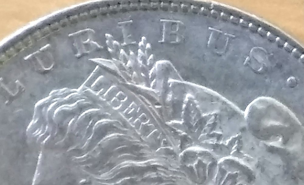 Looking-For-Help-With-An-1878-8TF-Morgan