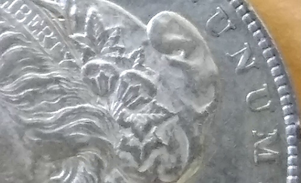 Looking-For-Help-With-An-1878-8TF-Morgan