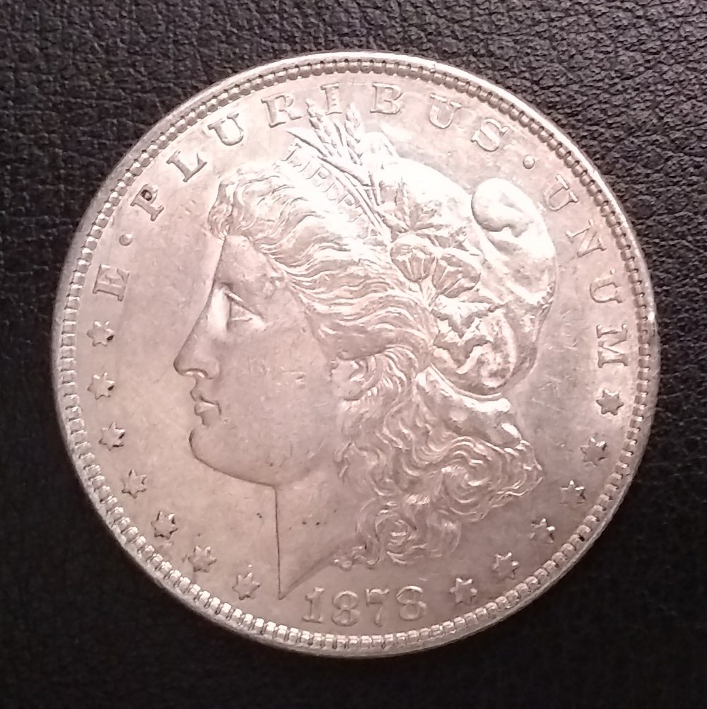 Looking-For-Help-With-An-1878-8TF-Morgan