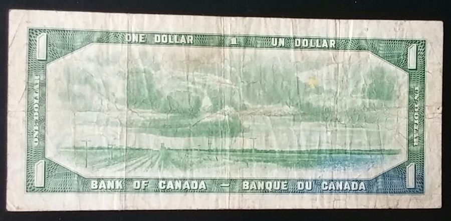 Is-This-Normal-For-$1-Devil's-Face?