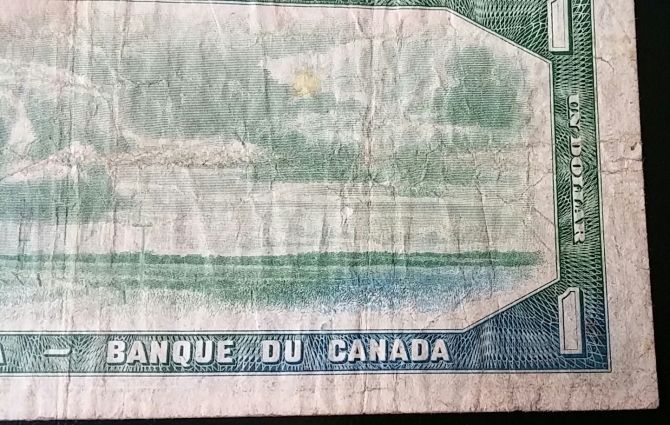 Is-This-Normal-For-$1-Devil's-Face?