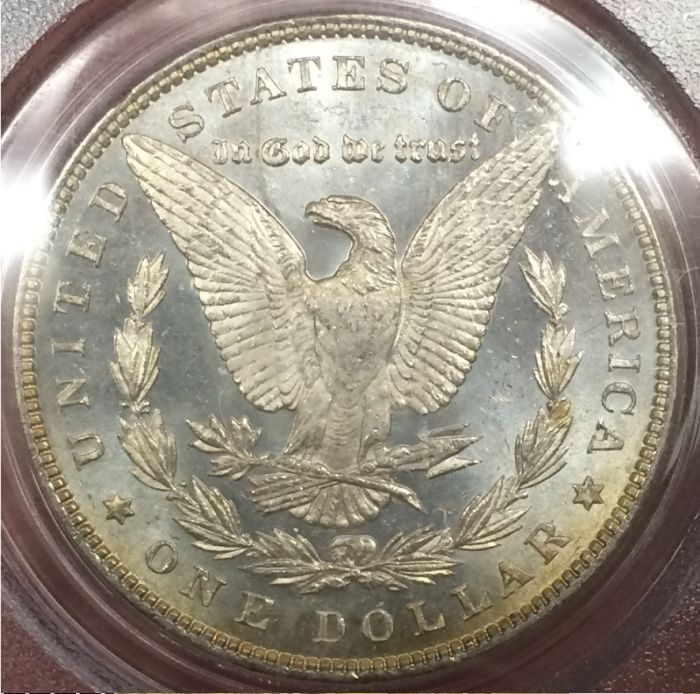 Is-Anyone-Else-A-Sucker-For-Toned-Morgan-Dollars?