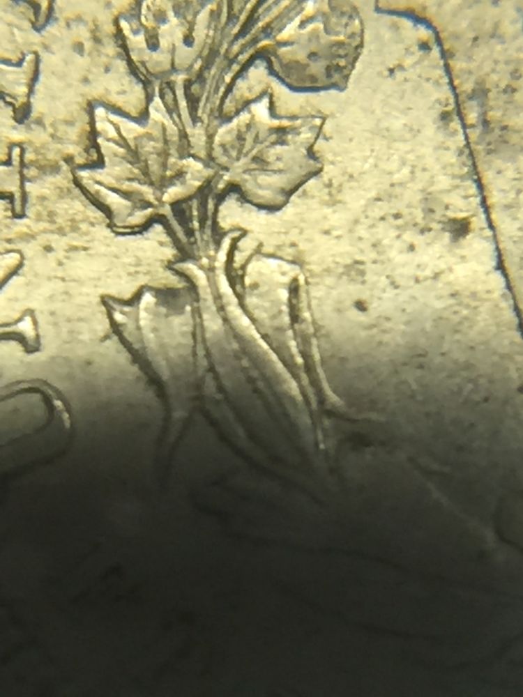 1883-V-No-Cents---DDR?