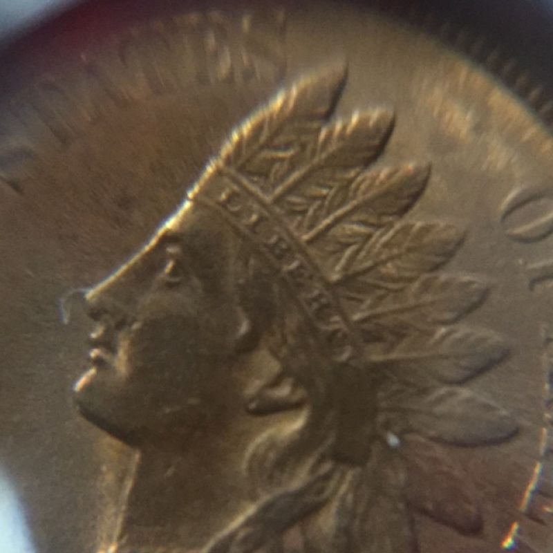 1901-Indian-Head