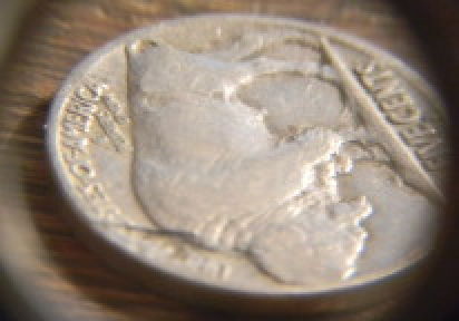 1915-D-Buffalo-Nickel-Grade