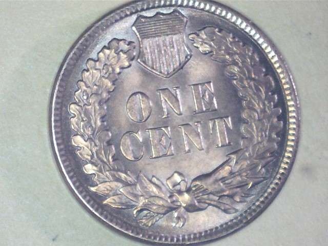 1893-IHC-Grade?
