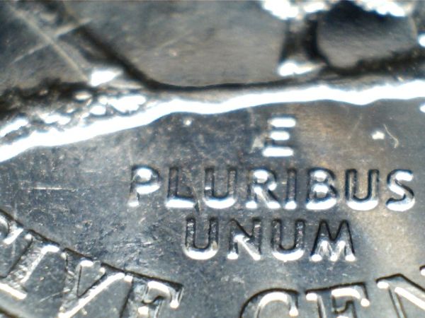 2005-D-Bison-Error?