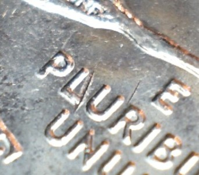 2005-D-Bison-Error?