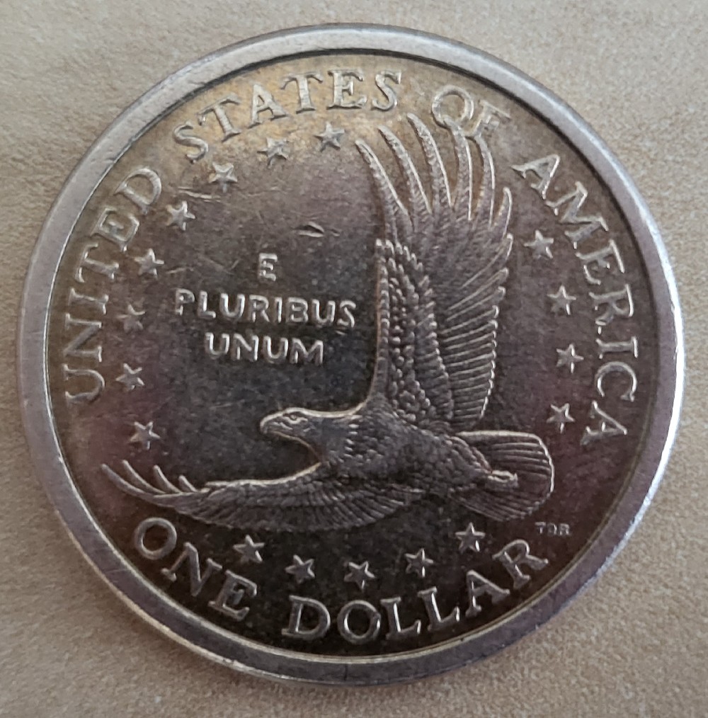 Small-Pits-In-Sacagewea-Dollar.-2007-D