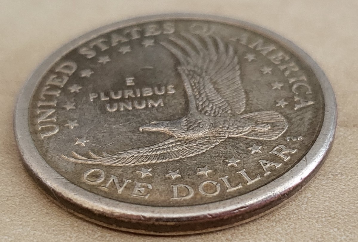 Small-Pits-In-Sacagewea-Dollar.-2007-D