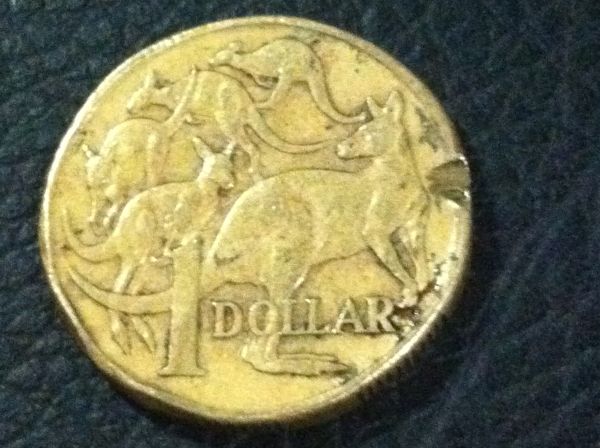 Error-$1-Coin?
