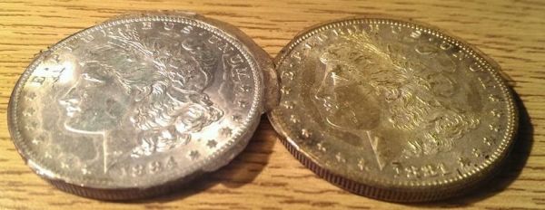 Plastic-Glued-To-Morgans