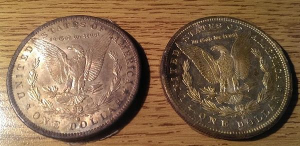 Plastic-Glued-To-Morgans