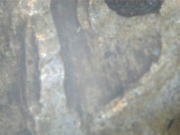 1942-D-Mercury?