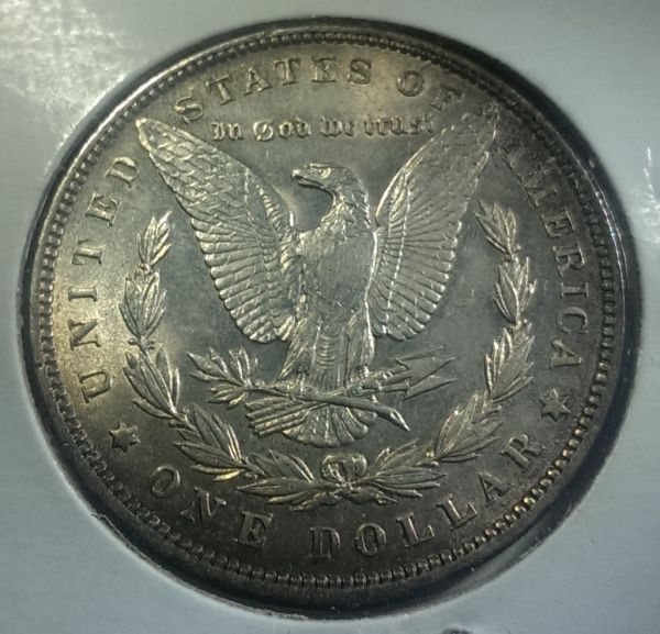 1891-Morgan-Grade-&-Possible-Value?