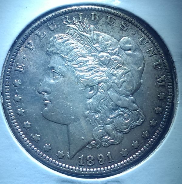 1891-Morgan-Grade-&-Possible-Value?