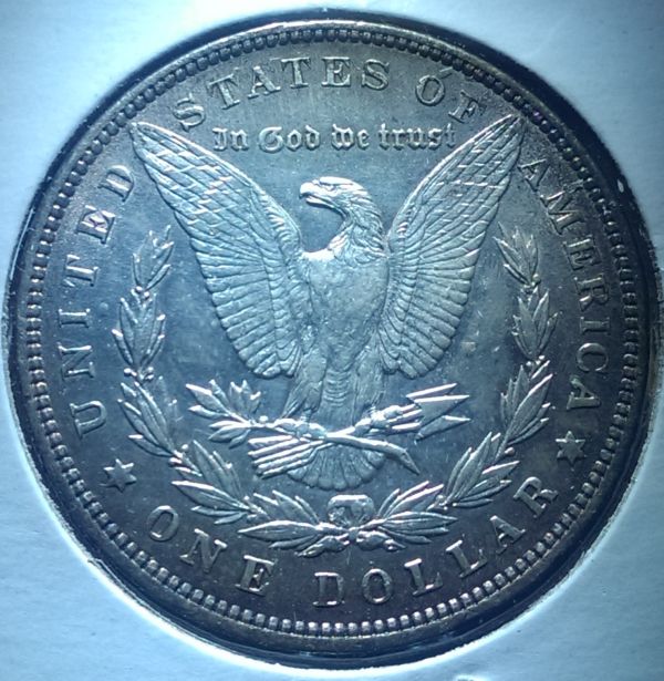 1891-Morgan-Grade-&-Possible-Value?