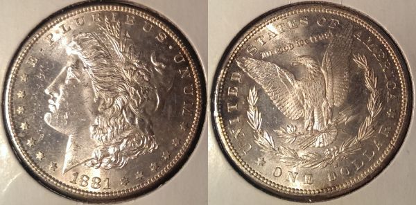Plastic-Glued-To-Morgans