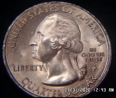 Is-This-Quarter-Still-MS