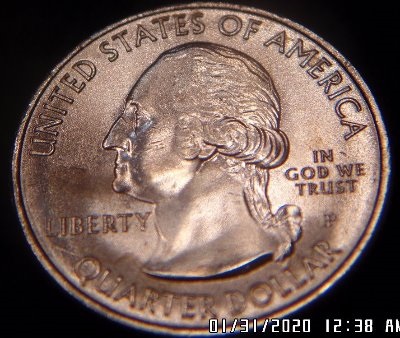 Is-This-Quarter-Still-MS