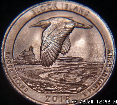 Is-This-Quarter-Still-MS