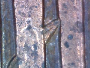 A-Something-Within-A-Coin?