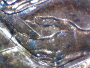 2009-Lincoln-Penny-Error.