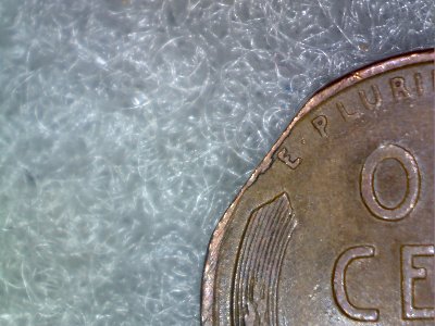 1941-Wheat-Penny-Clipped-Edge,-But-Doesn't-Look-Right?