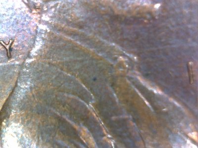 1983-Lincoln-Penny-Die-Crack-Error-Across-Obverse?