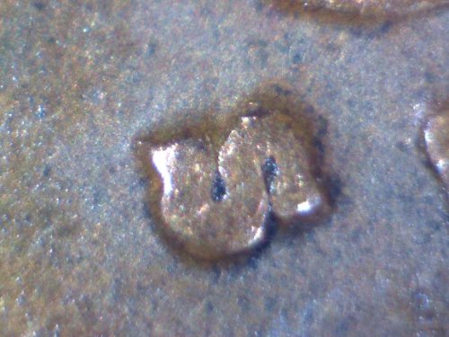 1929--S-Wheat-Cent-Possible-RPM?-New-Images