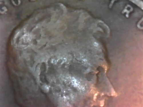 1923-Wheat-Penny-Environmental-Issue?