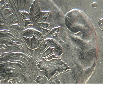 Help-Grade-1878-Morgan-Dollar,-New-Pics!