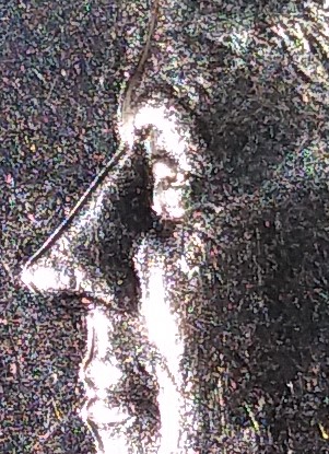 1991-D-KHD-DDO,-Eye,,-Thoughts?