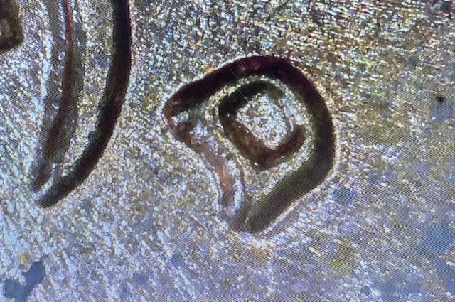 1961-D-Lincoln-Penny-RPM