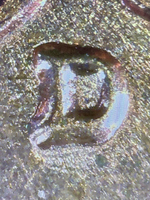 1961-D-Lincoln-Penny-RPM