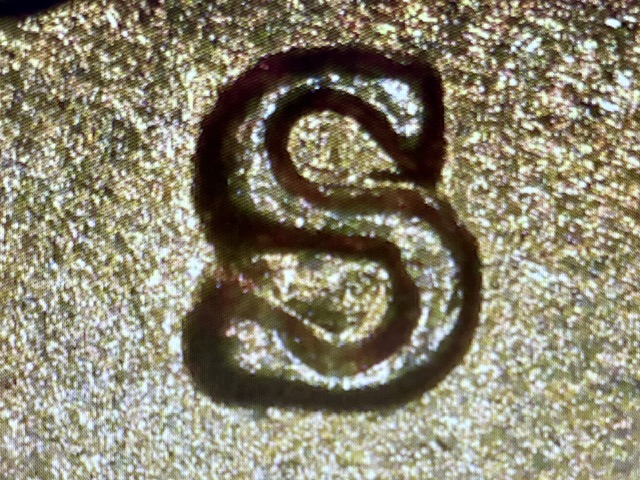 1955-S-Wheat-Penny-RPM