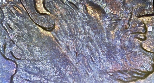 2000-D-Lincoln-Penny-Double-Ear?