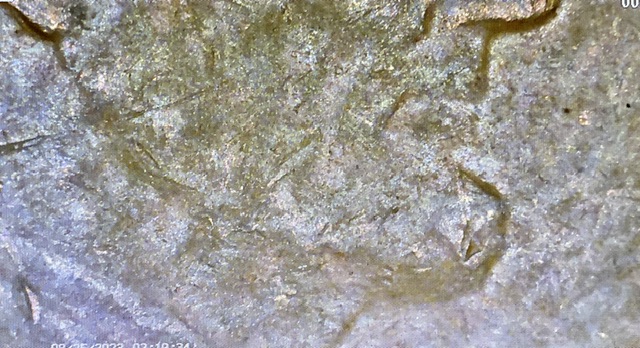 1971-D-Lincoln-Penny-Lamination-Error